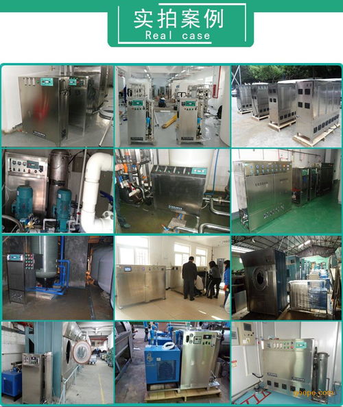 百丰BF-XD 10G移动式臭氧发生器 食品车间杀菌消毒的利器